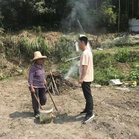 【雪峰镇】保护环境，禁烧秸秆