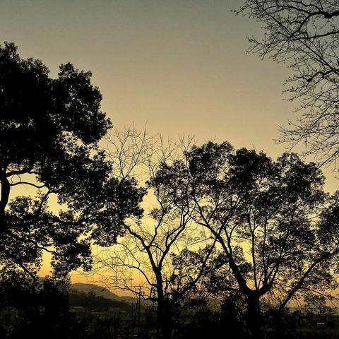 天宝堂志⑥~政党政权