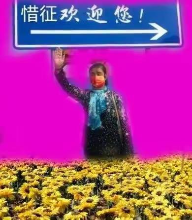 《浏芳揽胜》（五）