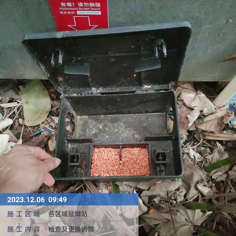 2023年12月6日三亚柏悦酒店白班工作报告