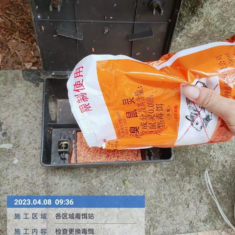 2023年4月8日三亚文华东方酒店白班工作报告