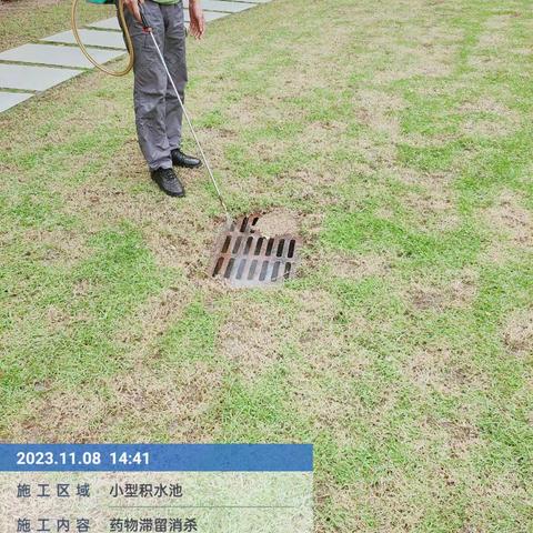 2023年11月8日三亚太阳湾柏悦酒店白班工作报告