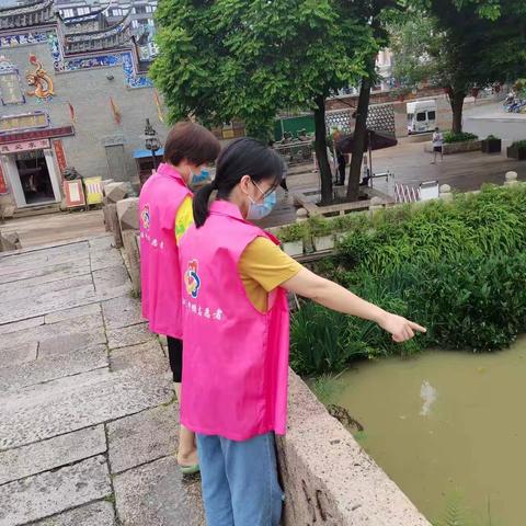 巾帼护河 守护碧水清河