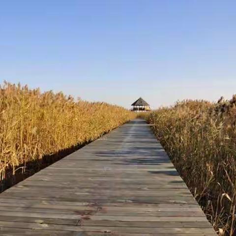 苇海 红滩 秋韵 暮色 ------ 跟随影游视界湿地采风