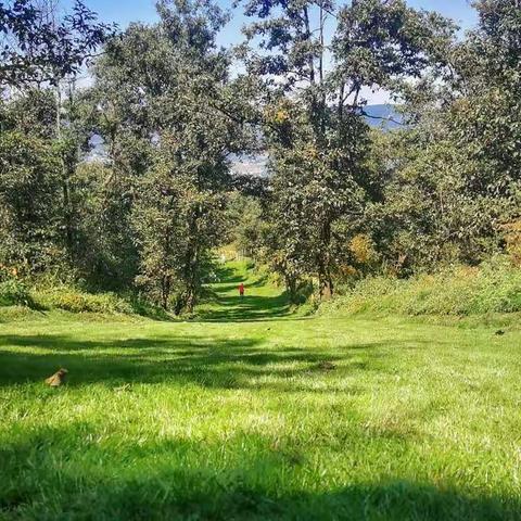 宝珠寺~团结乡欢喜滑草场随走