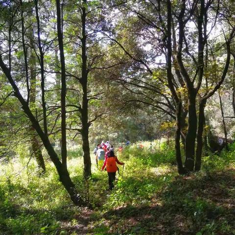 11月10日穿越雕翎山，探访土匪窝