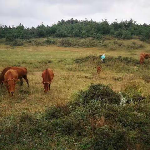 10月27日老青山、通幽谷探秘