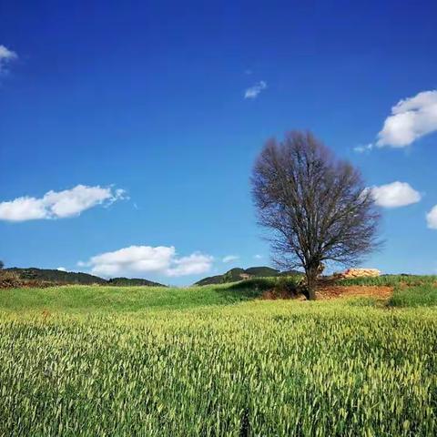 3日2日嵩明大尖山穿越