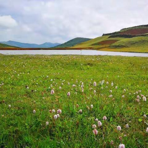 探密巨石阵，走过最美花甸，体验捡菌乐趣