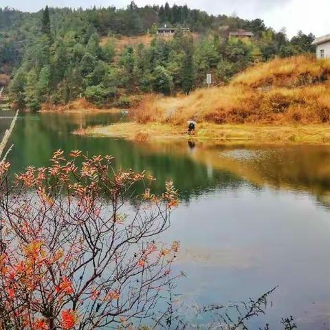 12月28日三家村、大墨雨随走