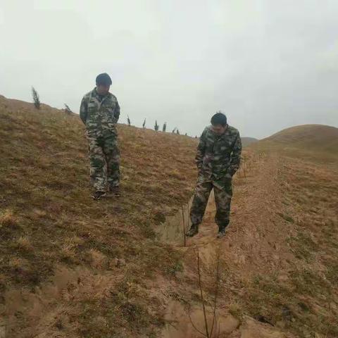 兰州北山生态建设局副局长宋玉山一行冒雨检查祖厉河林场造林工作