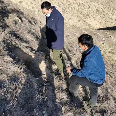 兰州北山生态建设管护中心副主任宋玉山带队检查验收祖厉河林场营造林工作