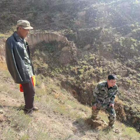 祖厉河林场造林自查验收工作纪实