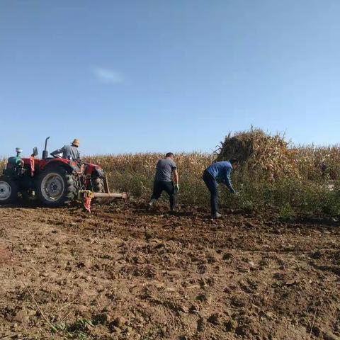 祖厉河林场圆满完成苗圃起苗工作