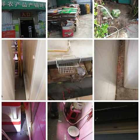 2021年3月24日区爱卫办对海罗村委会巩卫复审工作进行检查