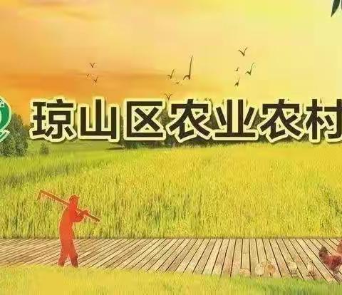 琼山区农业农村局举办农机安全生产技术培训班