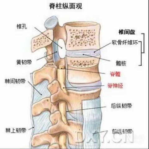 腰部推拿-琼山推拿科老年康复科特色项目（二）