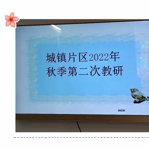 “以研促教，共同成长”一2022年城镇片区秋季第二次教研