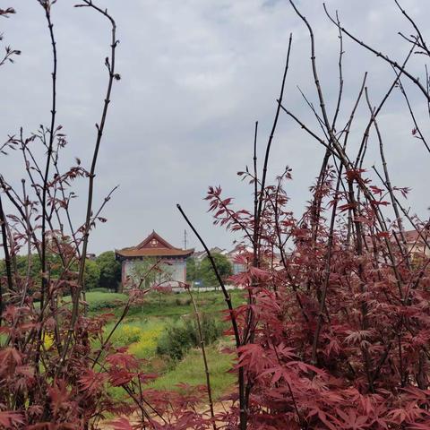 风云三尺剑，花鸟一床书～正在建设中的左光斗纪念馆