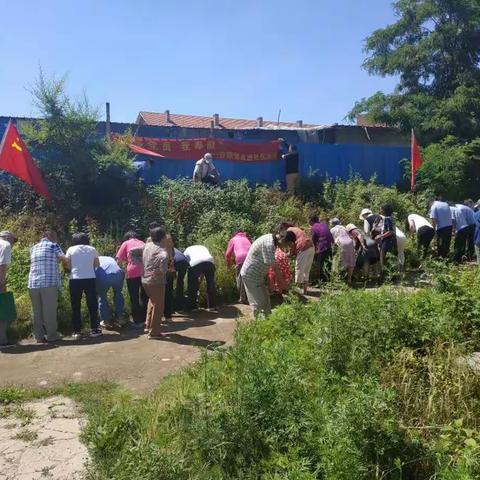 南岭社区“庆七一 践初心 当先锋”在职党员进社区义务劳动主题党日活动