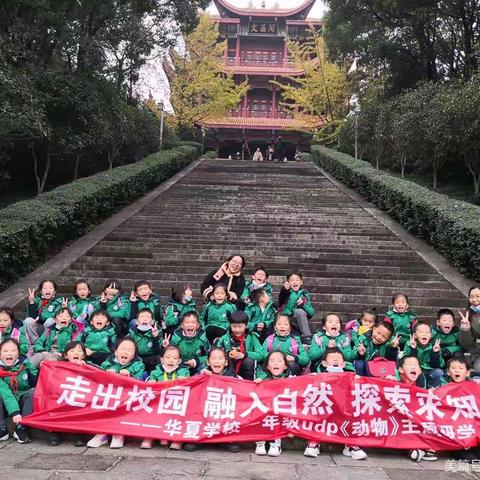 走出校园  融入自然  探索求知——记小53班动物主题探究