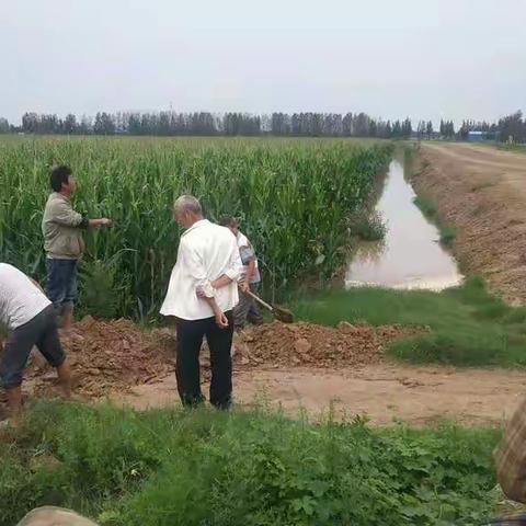 大屯镇上下齐心 携手应对暴风雨灾害
