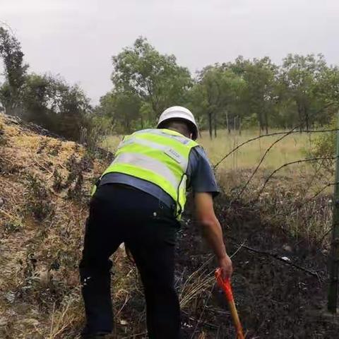 高速路旁“烽烟起” 路产灭火速救援