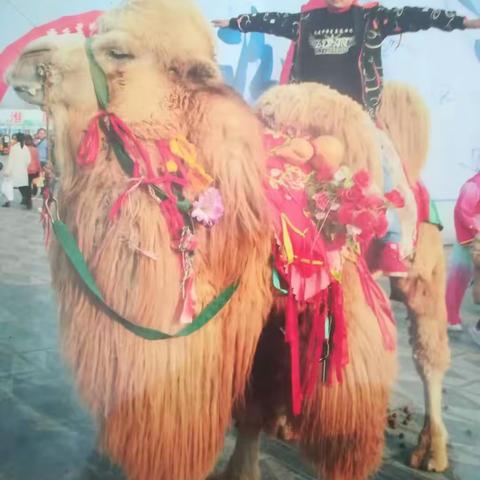 李寨神墨教育   优秀学员  张继超专访