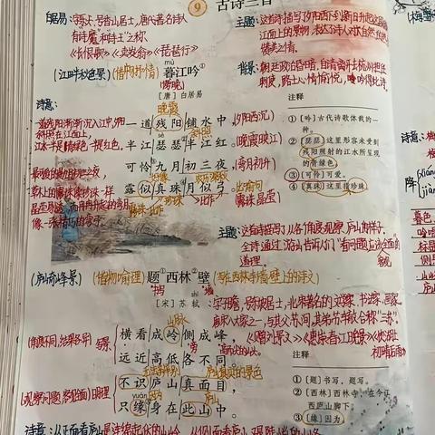 学语文本真，养语文精神