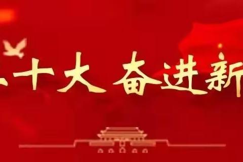 喜迎二十大   板报展风采
