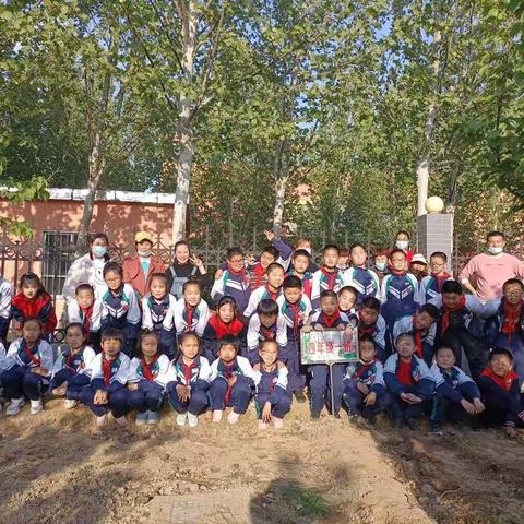 体验种植，感受快乐--高新区第二小学--阳光中队在行动（4.1）