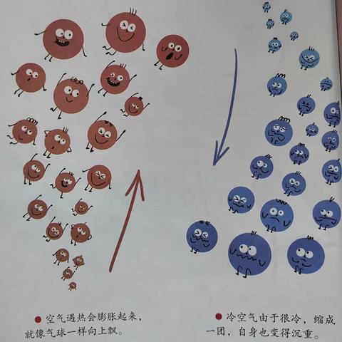 朵四班《风儿吹吹》主题系列活动