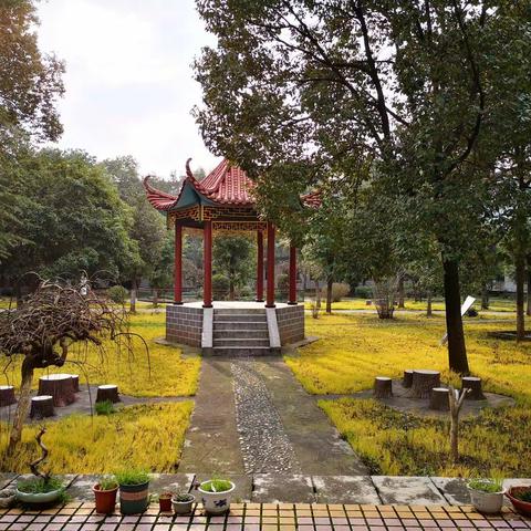 “不待扬鞭自奋蹄，好整以暇抗疫情”—沅江二中校长室致全体师生及家长的一封信