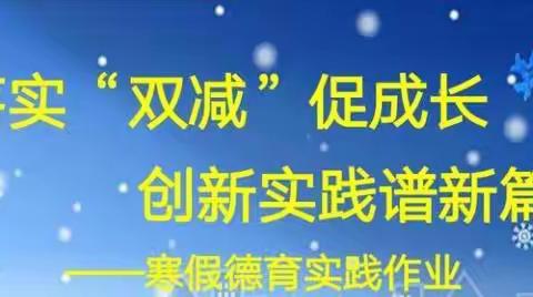 落实“双减”促成长，创新实践谱新篇——，沅江市第二中学2022年寒假德育实践作业