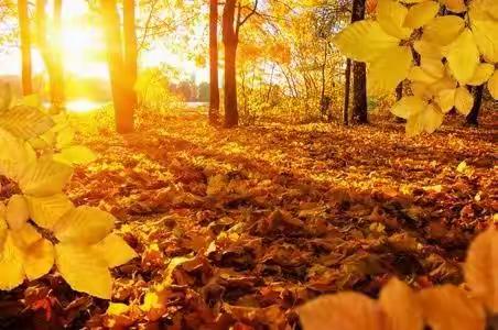 金色的十月，温暖的秋