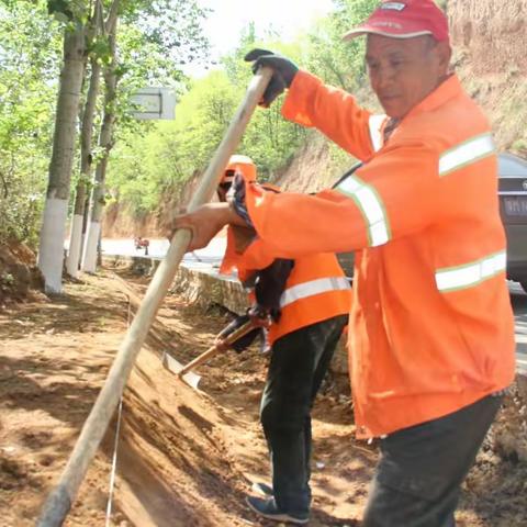陕州公路事业发展中心老310国道路域环境整治掠影