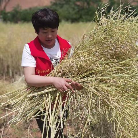 陕州区公路事业发展中心结对共建纪实