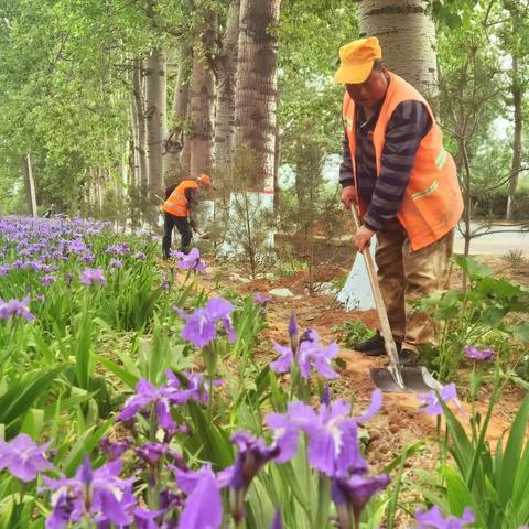陕州区国省干线公路路域环境整治初见成效