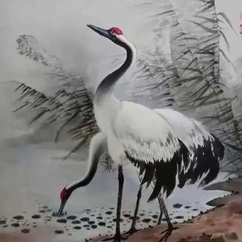 半百已过的尴尬