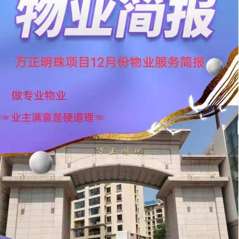 万正明珠12月份简报