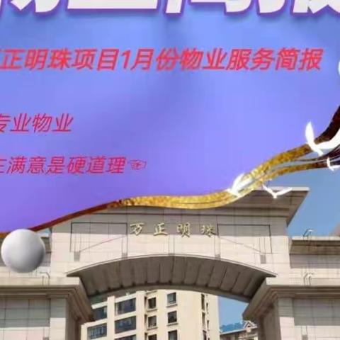 万正明珠项目《1月份》简报