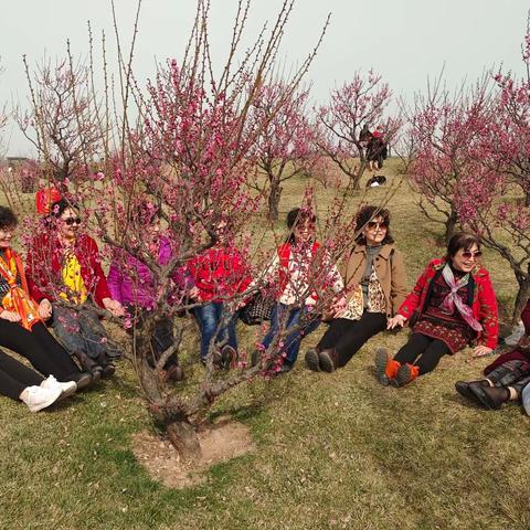 今日快乐何处？探梅寻香唐村！