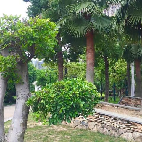 抓住春的尾巴，再赏一回春天的美景