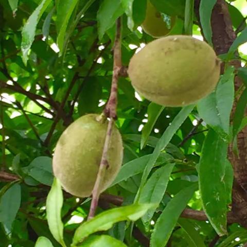 五一假期游桃江