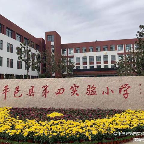 学习新课标 聚焦任务群——平邑县第四实验小学一年级语文组暑假新课标学习活动纪实