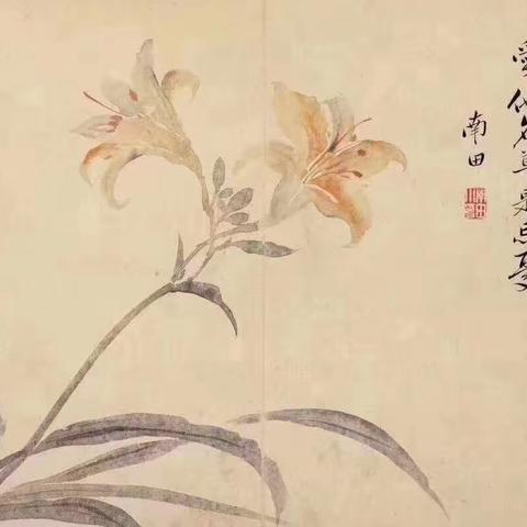 没骨花卉—恽寿平