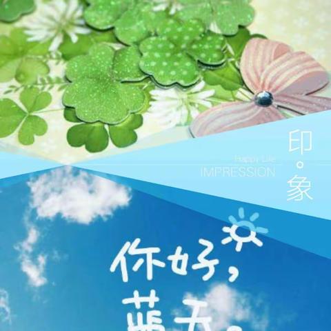 田林县财富商城幼儿园2021年春季学期期末教育教学汇报活动