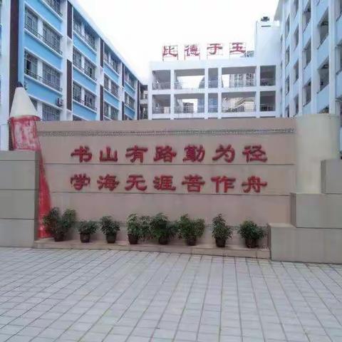 海口市玉沙实验学校中期见习美篇