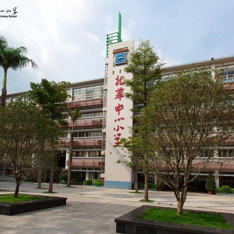 跟岗学习  交流成长——武陵区第五小学青年教师赴深圳市龙华中心小学跟岗学习纪实