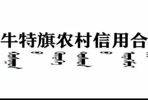 【翁牛特旗农商行客户经理信贷管理能力提升培训项目】及外拓实战项目固化